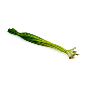 Knoblauch Bund frisch
