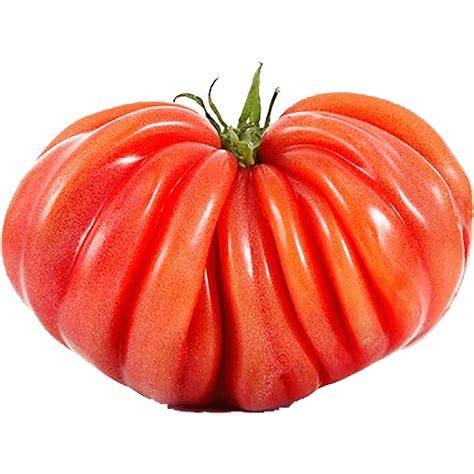 Tomate